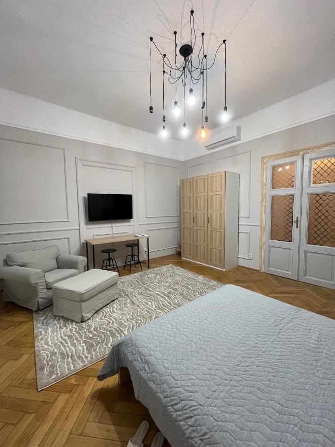 Barty Downtown Apart 2 Timisoara Ngoại thất bức ảnh